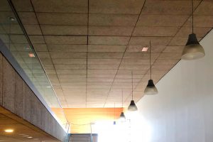 Colocación y refuerzo de falso techo en el Centro de Alzheimer Fundación Reina Sofía
